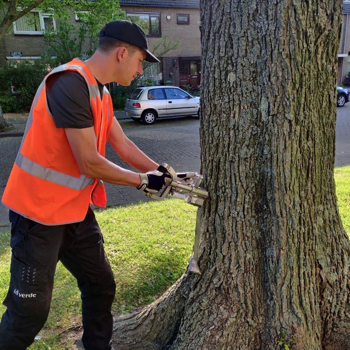 Vlaardingse bomen staan in de rij voor vaccinatie!