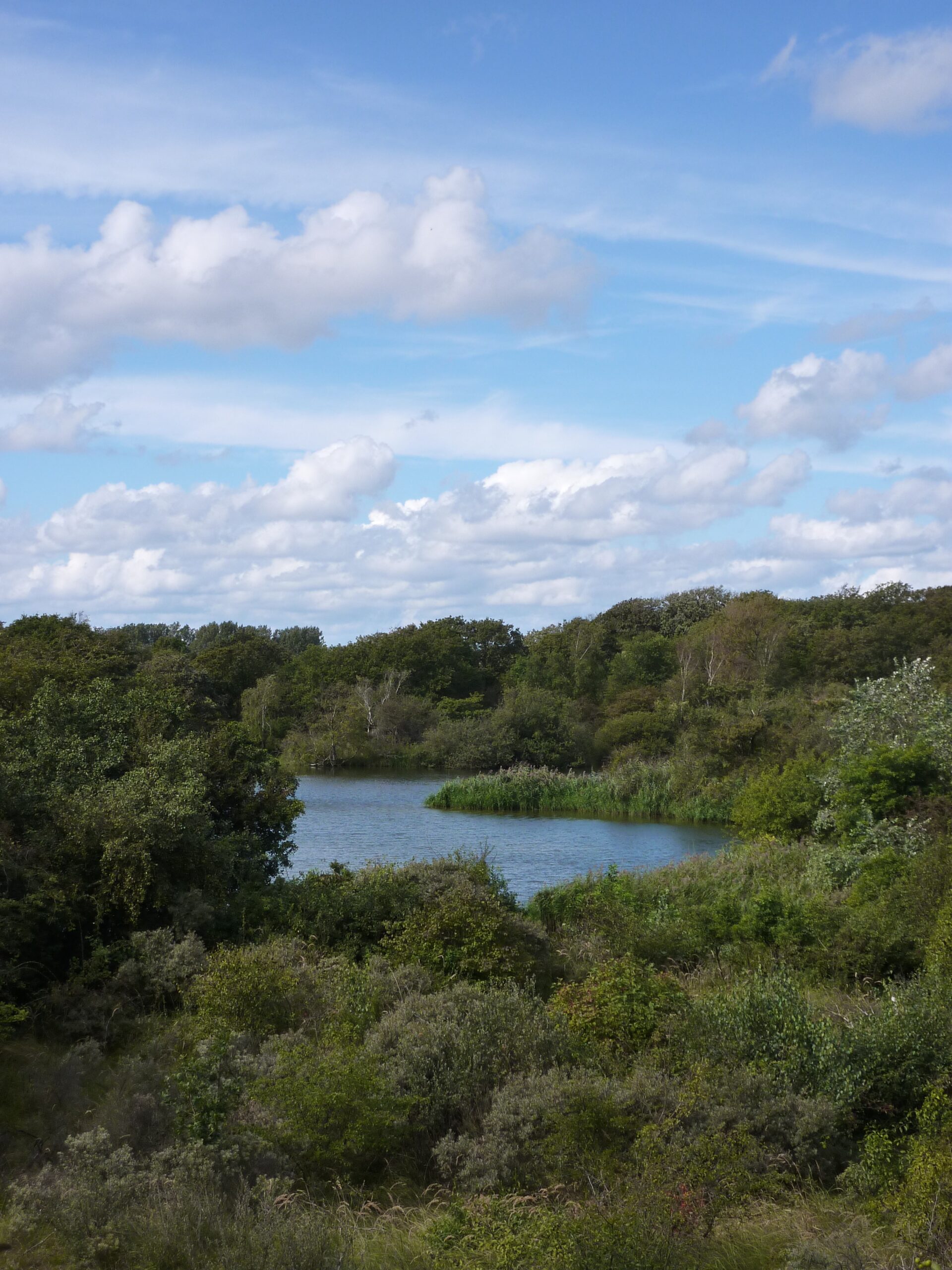 Vogel excursie naar Meijendel
