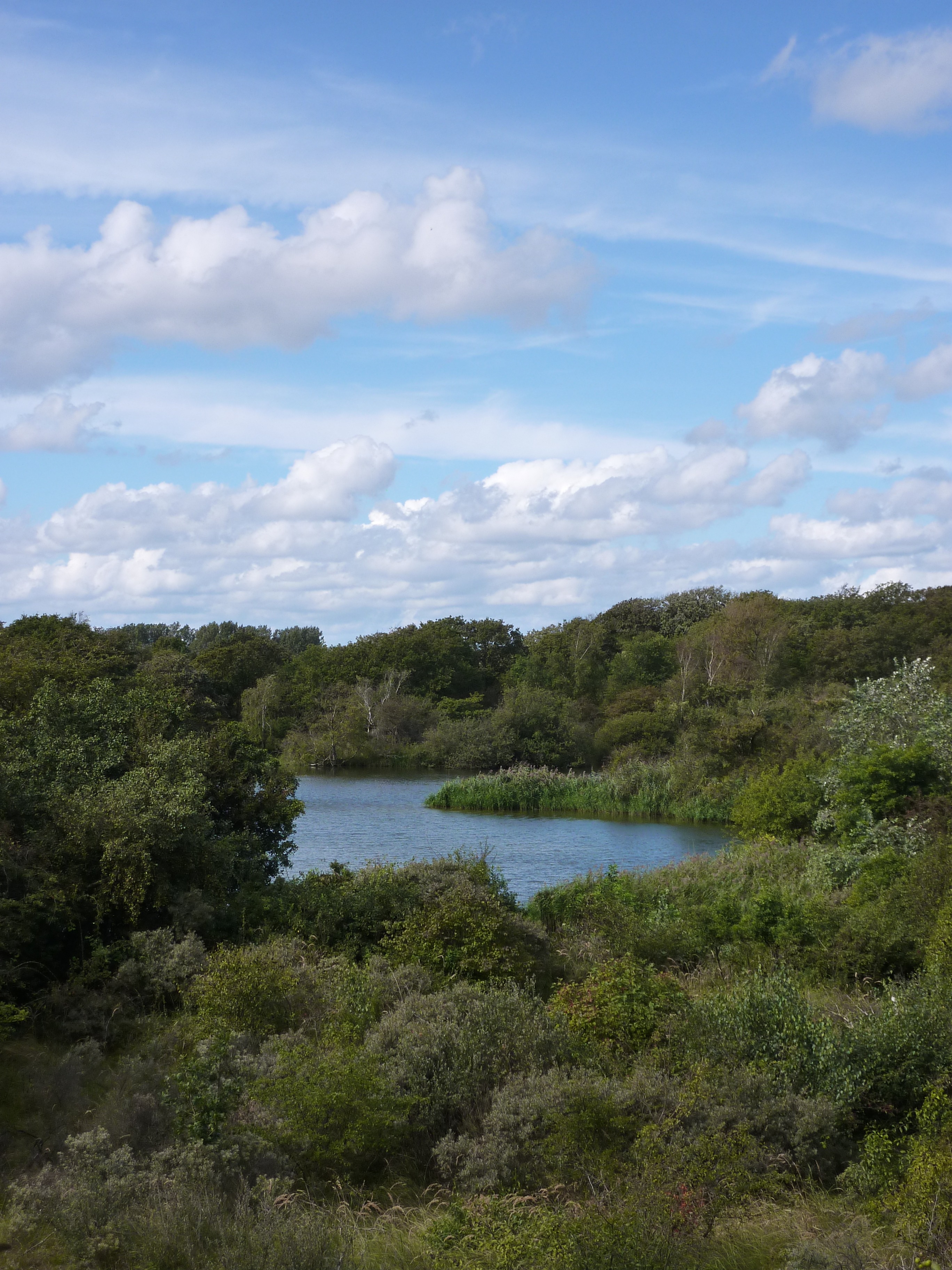 Vogel excursie naar Meijendel